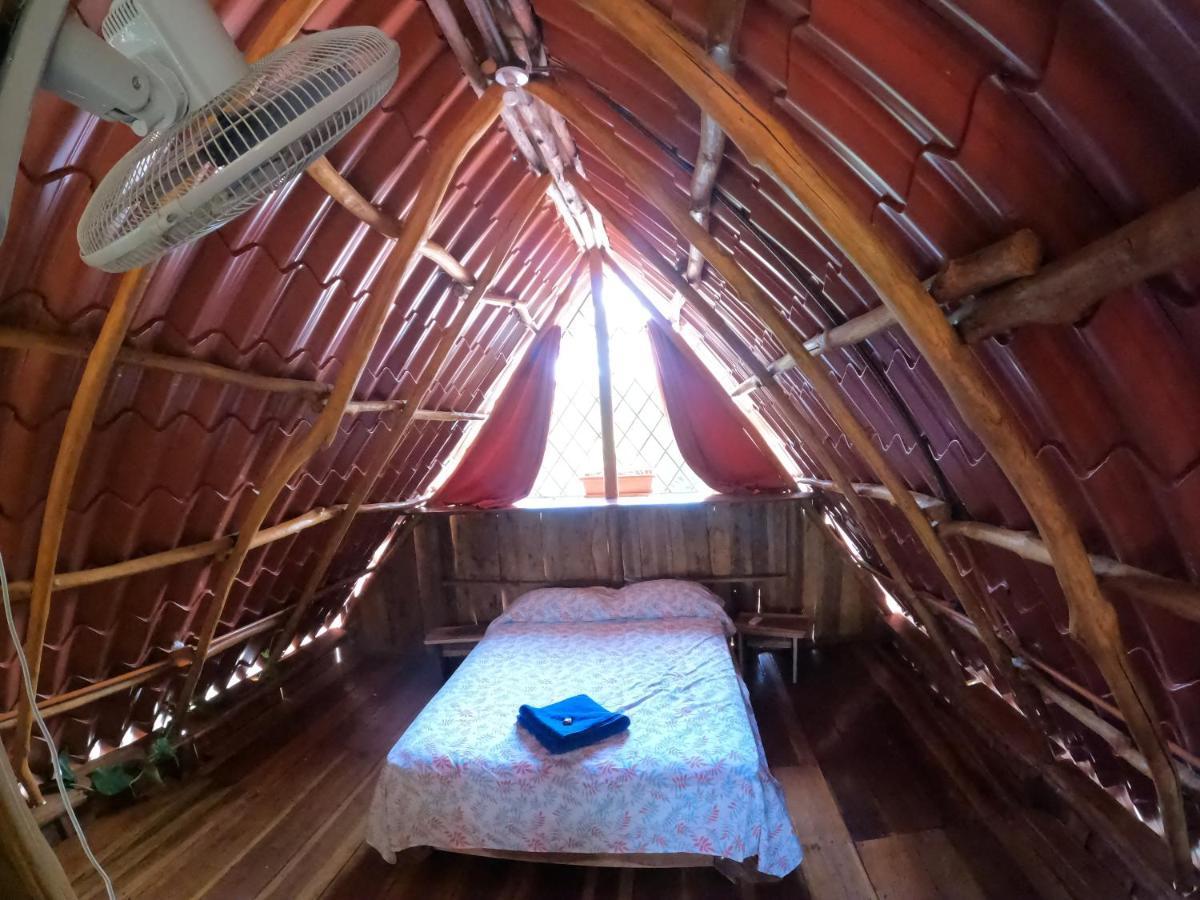 Tree House Samanea Lodge Puerto Limon Luaran gambar