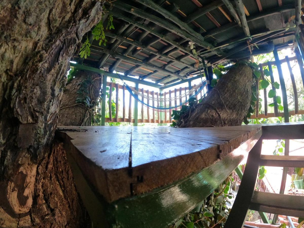 Tree House Samanea Lodge Puerto Limon Luaran gambar