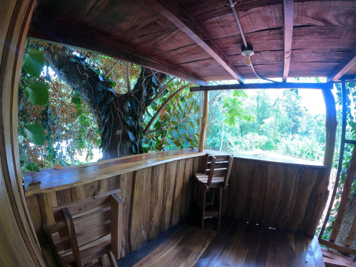 Tree House Samanea Lodge Puerto Limon Luaran gambar