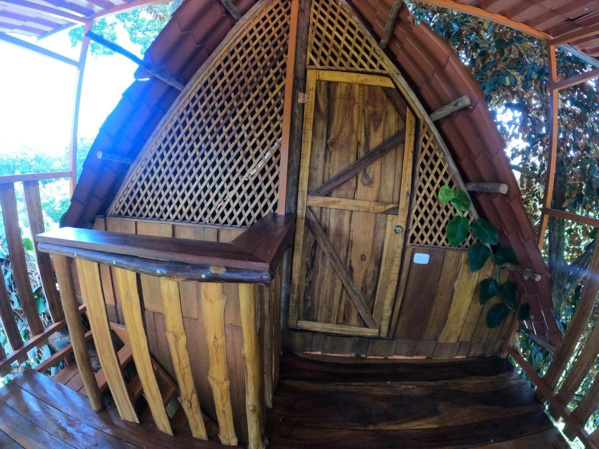 Tree House Samanea Lodge Puerto Limon Luaran gambar