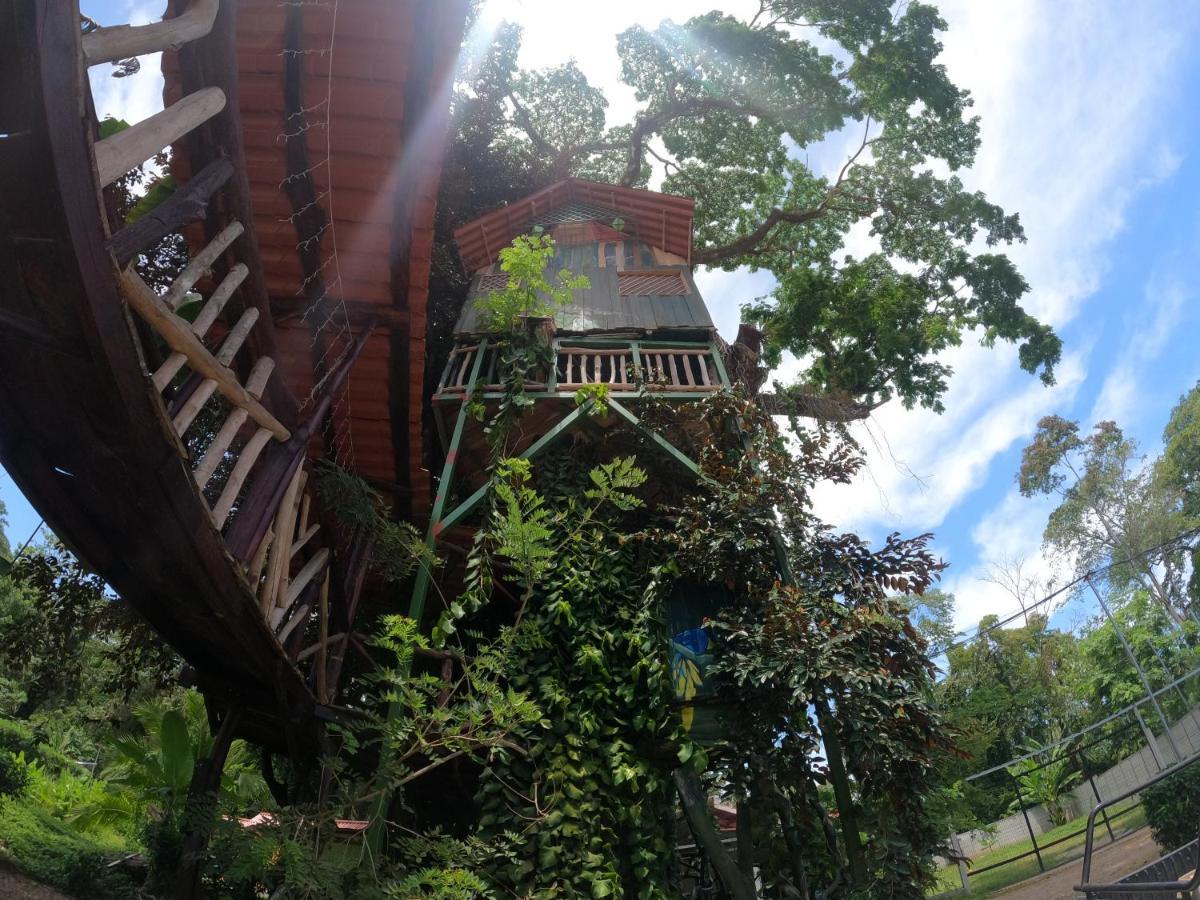 Tree House Samanea Lodge Puerto Limon Luaran gambar