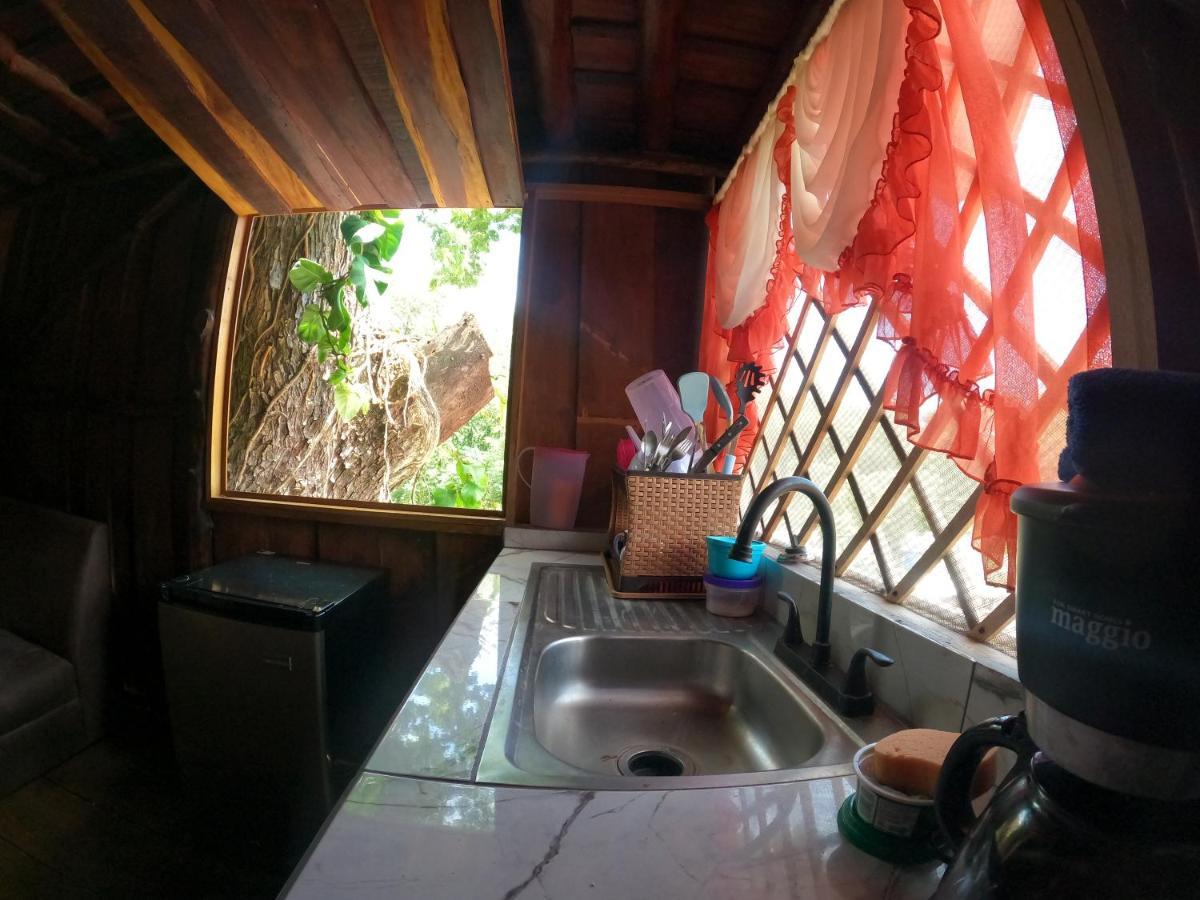Tree House Samanea Lodge Puerto Limon Luaran gambar