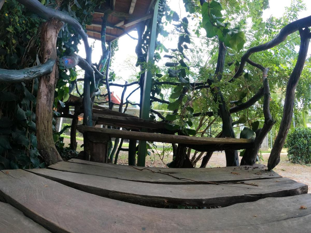 Tree House Samanea Lodge Puerto Limon Luaran gambar